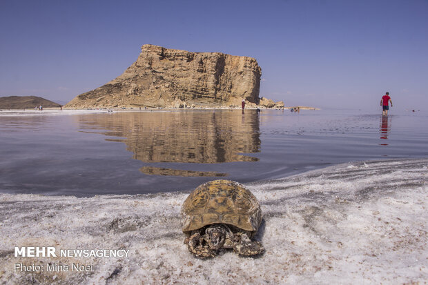 دریاچه ارومیه عمیق‌تر شده است