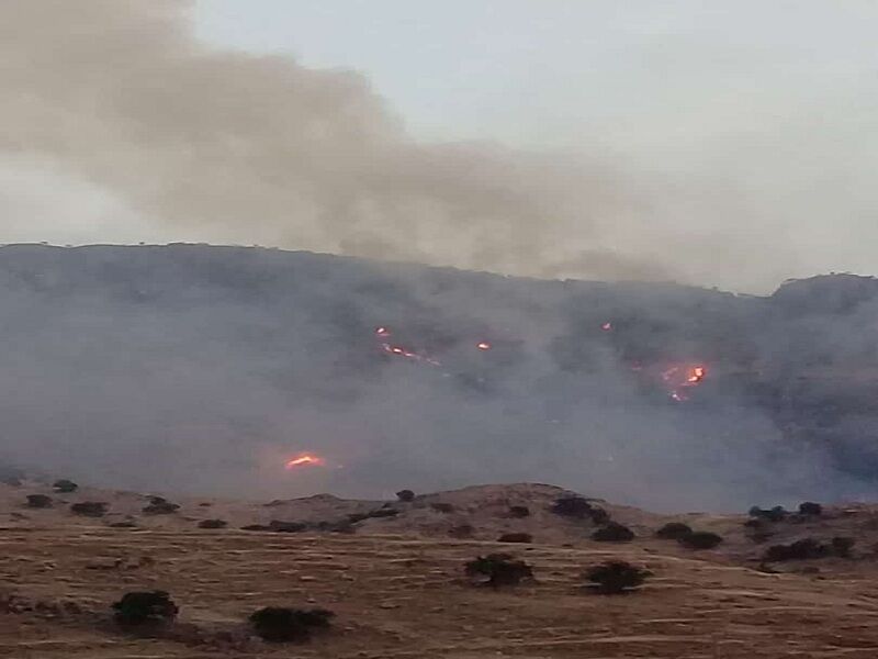 آتش‌سوزی جنگل‌های اندیکا در خوزستان مهار شد
