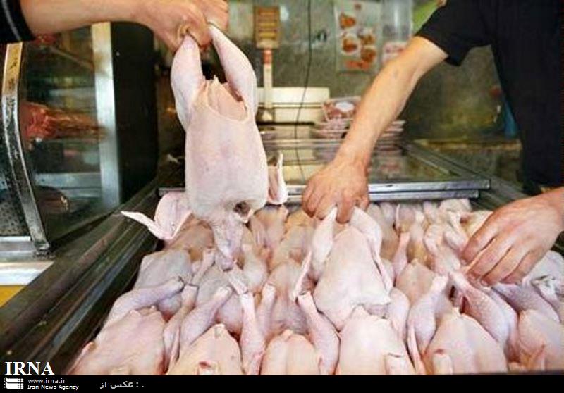 تامین نیاز از بازارآزاد عامل افزایش قیمت مرغ