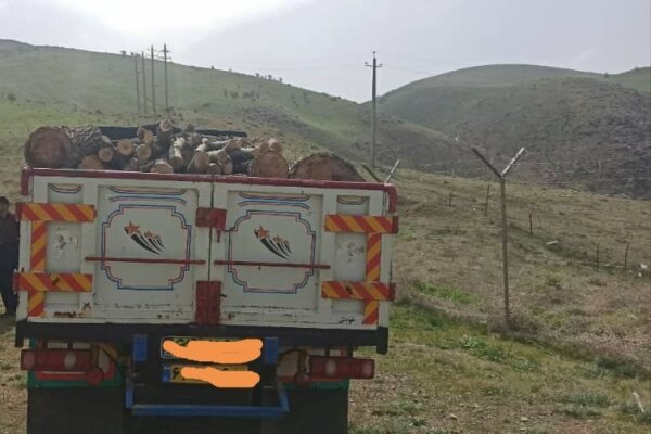 کامیون حامل چوب های قاچاق در منطقه حفاظت شده عبدالرزاق توقیف شد