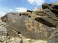 کشف سنگ‌نگاره‌های باستانی در ارتفاعات جنوبی مشهد
