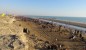 طرح تحول اقتصادی دریا محور در ۳۰ روستای استان بوشهر پیش بینی شد