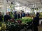 تلفیق طبیعت و تجارت در نمایشگاه گل و گیاه سنندج