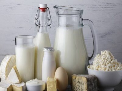 تعیین تکلیف قیمت لبنیات ضروری است