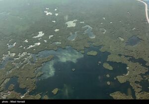 آتشسوزی در هورالعظیم عراق مهارناپذیر شده است