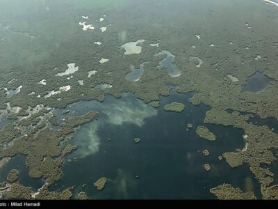 آتشسوزی در هورالعظیم عراق مهارناپذیر شده است